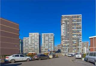 湖南不锈钢转子泵型号