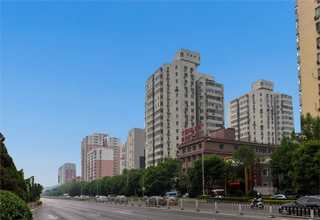 采摘视觉传感器型号